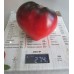 Проверенный сорт томата "Kas 21"
