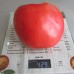 Сорт томатов - Бычье сердце «Классический»