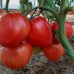Сорт томатов - Бычье сердце «Классический»