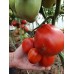 Проверенный сорт томата "Пузата хата"