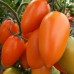 Проверенный сорт томатов - Лисичка
