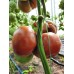 Проверенный сорт томатов - Гери О Сена