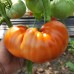 Проверенный сорт томатов -  Уральский великан