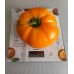 Проверенный сорт томатов  - Сызранский оранжевый