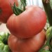 Проверенный сорт томата - Изюмный розовый