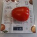 Проверенный сорт томатов - Нерпа