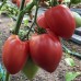 Проверенный сорт томатов - Сердце Италии