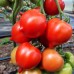 Сорт томатов  имени Тарасенко