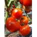 Проверенный сорт томатов Славянский шедевр