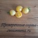 Проверенный сорт томатов  - Барбарис