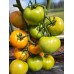 Проверенный сорт томатов -  Желтые шары