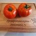 Проверенный сорт томатов -  Король ранних