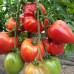 Проверенный сорт томатов  - Бычье сердце «Классический» 