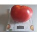 Проверенный сорт томатов - Гигант Подмосковья 