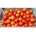 Проверенный сорт томатов - Видимо-невидимо