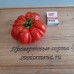 Проверенный сорт томатов - Корум