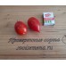 Проверенный сорт томатов  - Веер Сюзанны