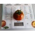 Проверенный сорт томатов - Гном Толчок после землетрясения