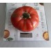 Проверенный сорт томатов  - Гном Аделаида