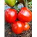 Проверенный сорт томатов - Юма