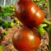 Проверенный сорт томатов - Гном Сорок гномов