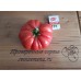 Проверенный сорт томатов - Гном Арктическая Роза