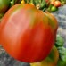 Проверенный сорт томатов  - Батон