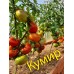 Набор томатов "Урожайный огород"