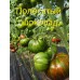 Вкусные урожайные томаты - "Экзоты"