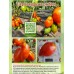 Засолочные высокорослые томаты для теплицы