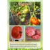 Набор томатов «Вкусные ГИГАНТЫ»