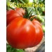Набор томатов «Вкусные ГИГАНТЫ»