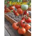 "Изобилие томатов на грядках" - 16 сортов с бесплатной доставкой