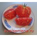 Мой любимый сорт томатов - Кумир