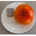 Сорт томатов - Медовуха