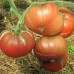 Сорт томатов - Гери О Сена