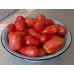 Сорт томатов - Ослиные уши