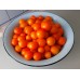 Проверенный сорт томатов -  Сангелла