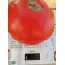 Проверенный сорт томатов - Кум