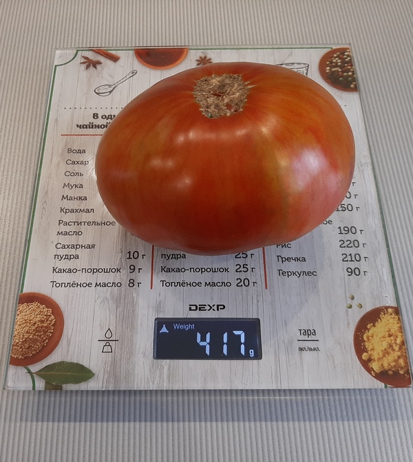 Сорт томатов - Сумерки - Урожайный сладкий триколор