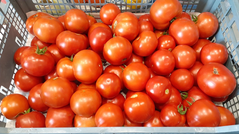Сорт томатов Видимо-невидимо - Сорт рабочая лошадка, всегда с томатами.