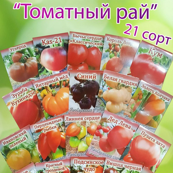 Большой набор популярных сортов томатов для теплицы. «Томатный ра» - 21  сорт с бесплатной доставкой