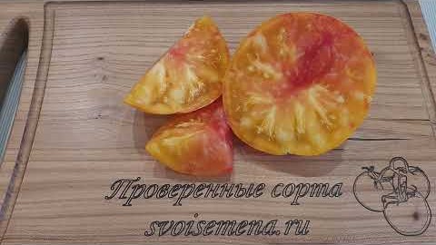 Проверенный сорт томатов  - Полосатый ананас