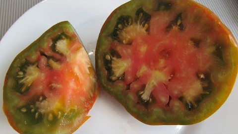 Проверенный сорт томатов "Кленовый сироп"