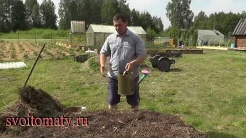 Как сделать грядку клумбу для выращивания кабачков
