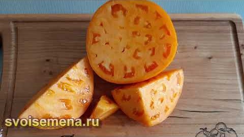 Проверенный сорт томатов - Оранжевый загар