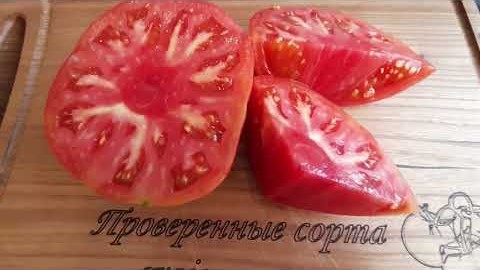 Проверенный сорт томатов  - Ольга