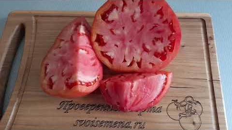 Проверенный сорт томатов  - Батон